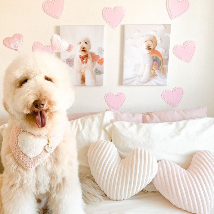 6 Ways to Celebrate National Love Your Pet Day!