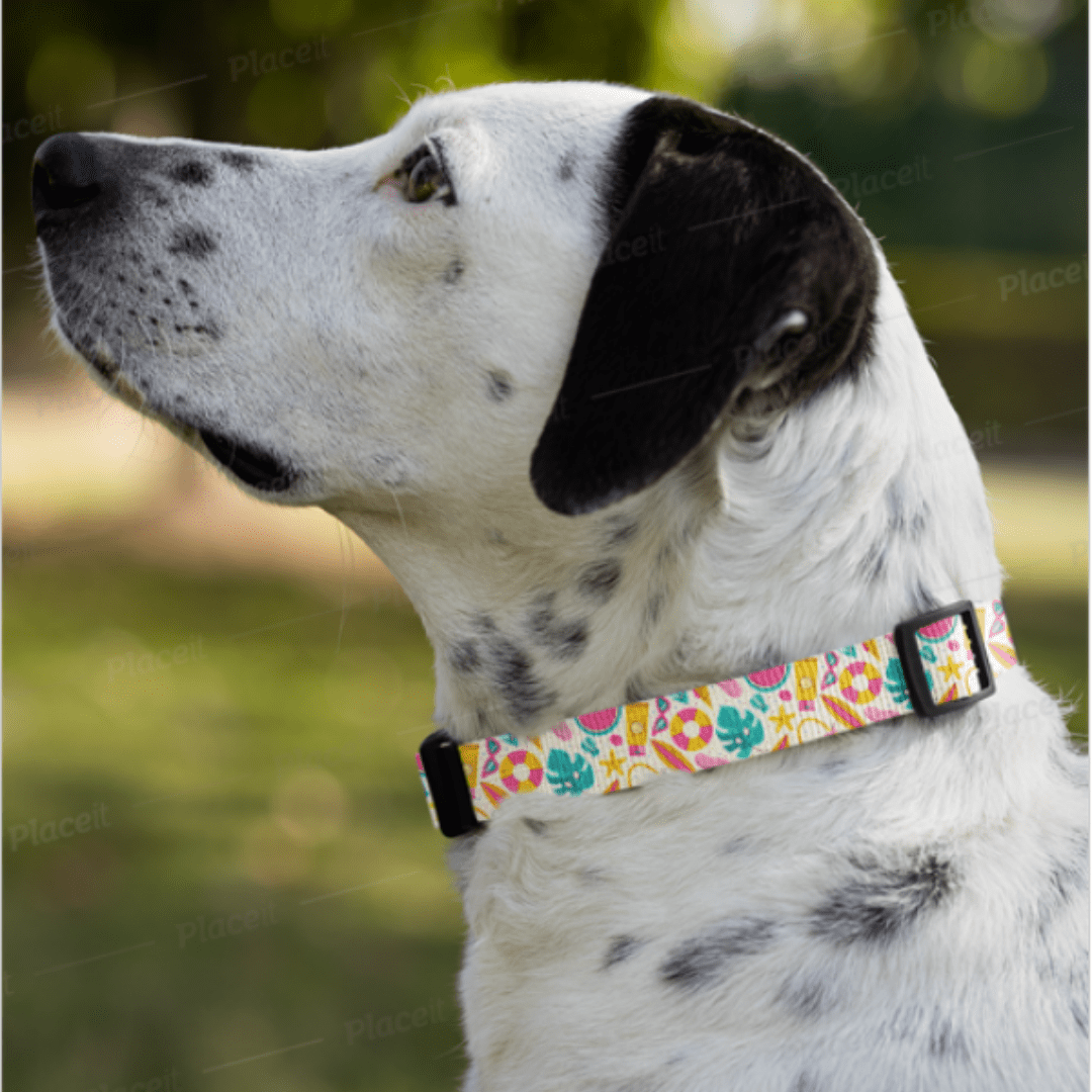 Adjustable Custom Dog Collar