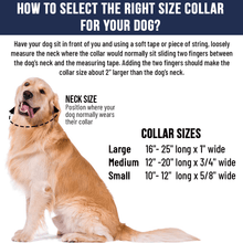 Load image into Gallery viewer, Adjustable Custom Dog Collar
